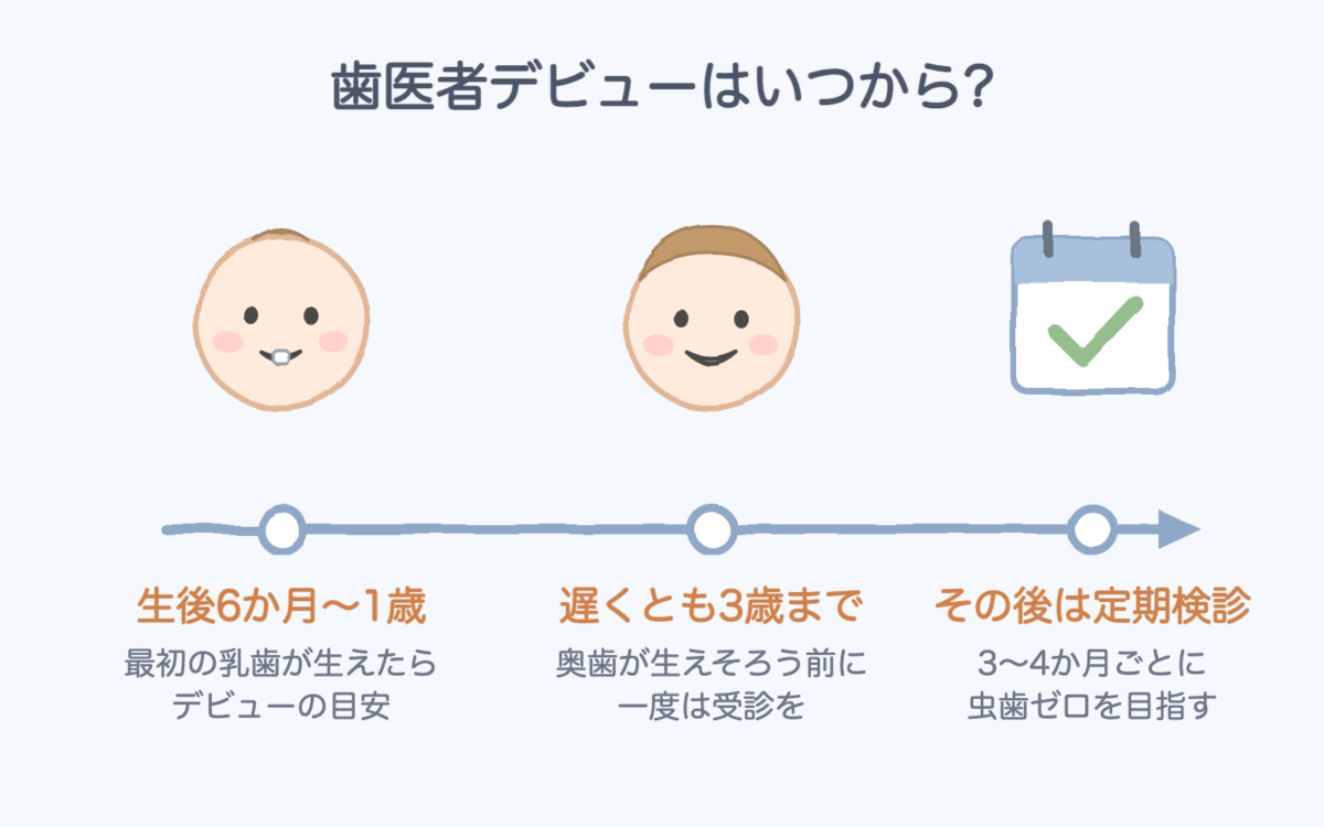 歯医者デビューの時期の目安(生後6か月〜1歳、遅くとも3歳まで、その後は定期検診)